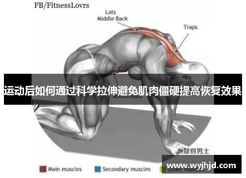 运动后如何通过科学拉伸避免肌肉僵硬提高恢复效果