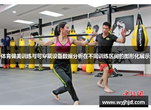 体育健美训练与可穿戴设备数据分析在不同训练区间的图形化展示