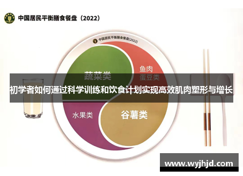 初学者如何通过科学训练和饮食计划实现高效肌肉塑形与增长